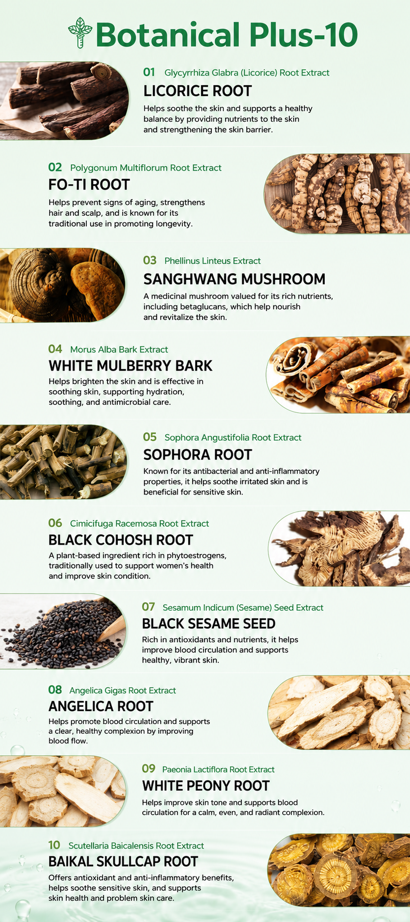 Steam Cell Inner Glow AI Moistureizer Cream