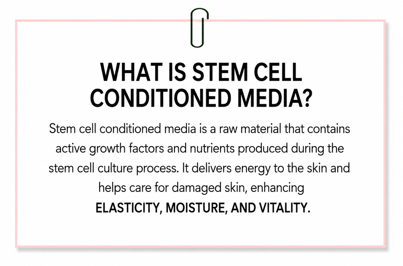 Stem Cell cushion No.21