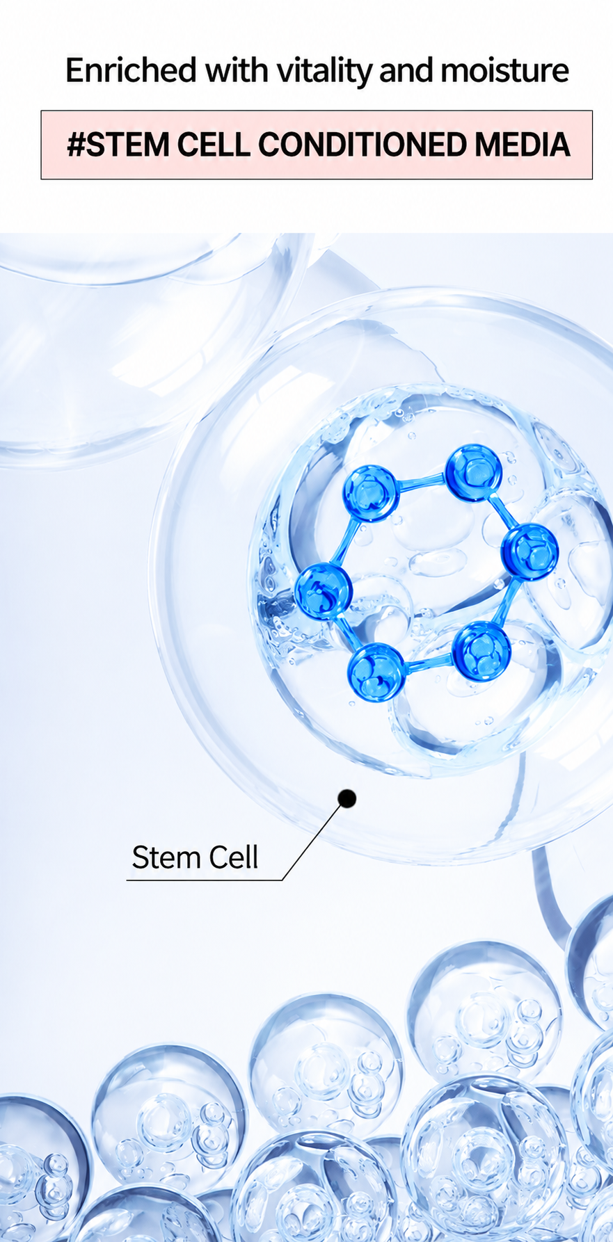 Stem Cell cushion No.21