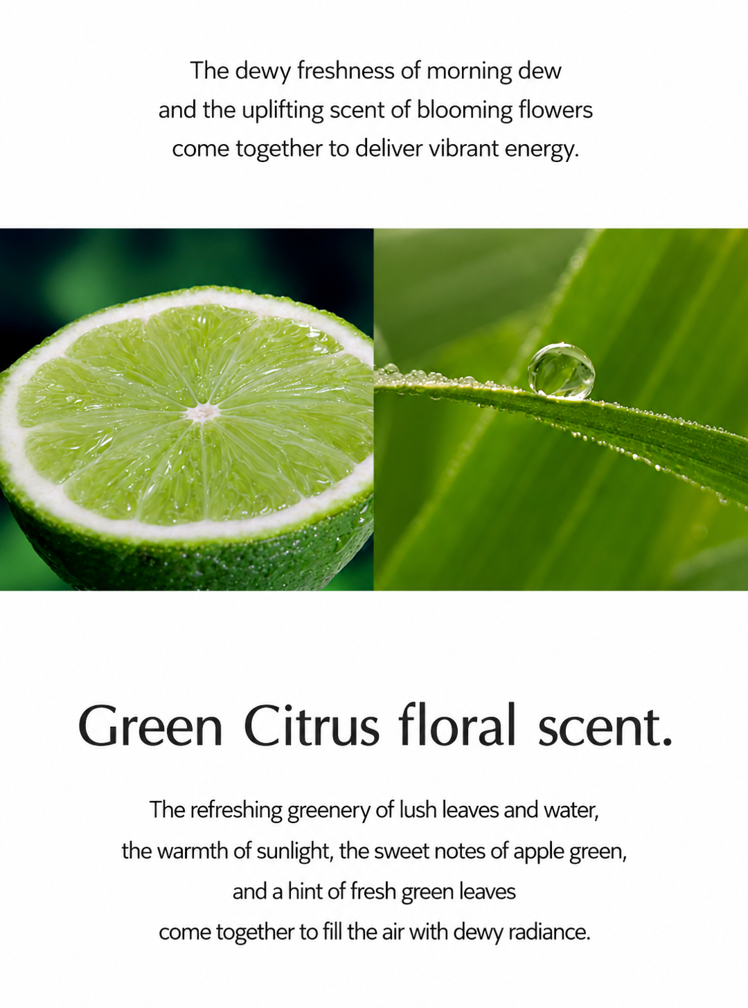 Bloom De Vert Hand Cream (100ml / 3.38 fl. oz.)