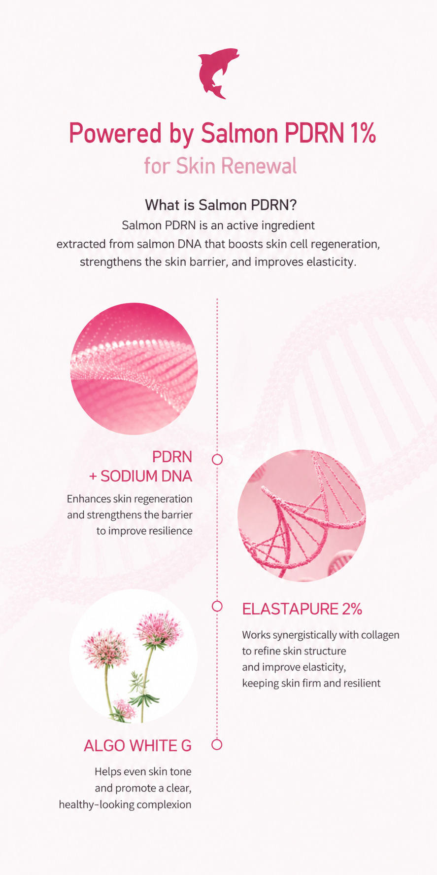 PDRN Collagen Capsule Cream